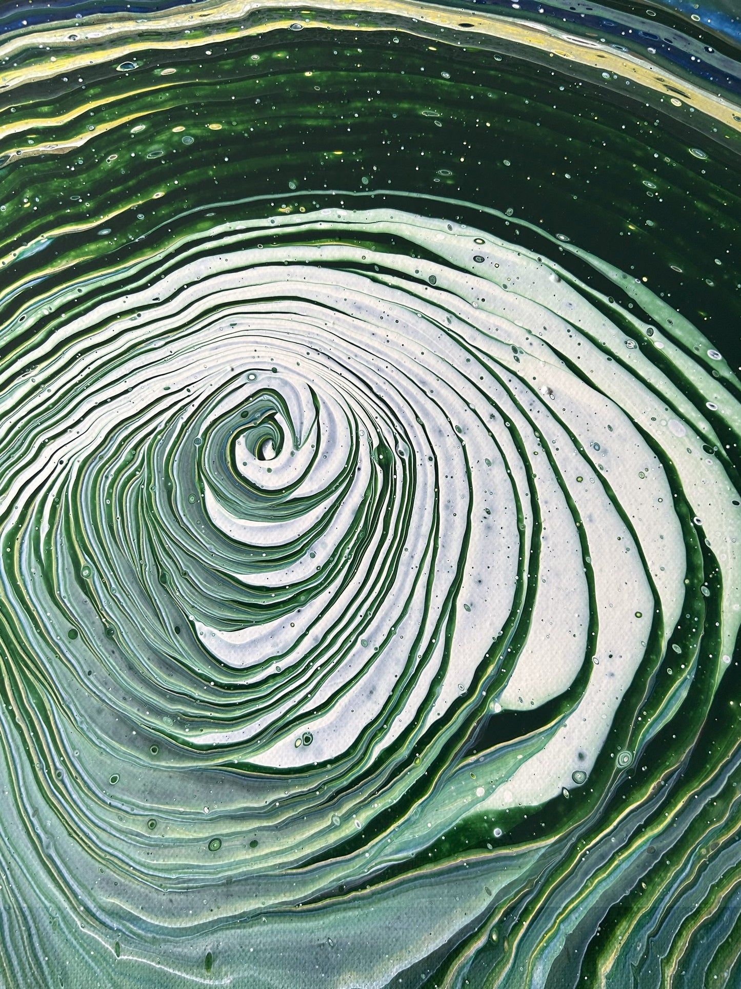 Nature's Eye