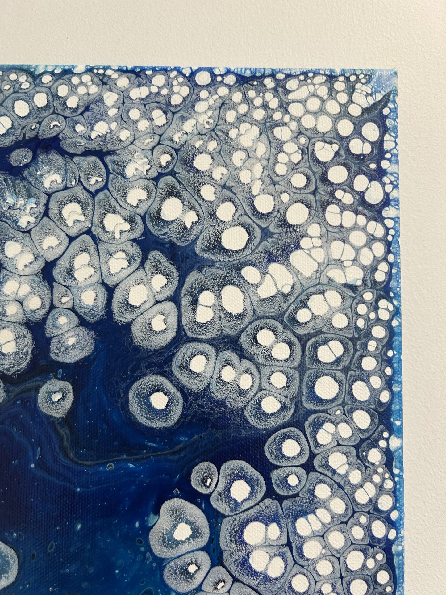 Blue Pearl #1
